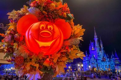How Does BOO Bash Compare to Mickey’s Not-So-Scary Halloween Party? Here Are Our THOUGHTS!