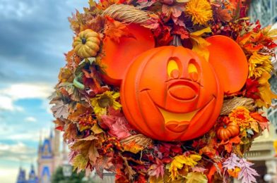 PHOTOS: You HAVE to See these AMAZING Costumes from Disney’s BOO Bash Tonight!