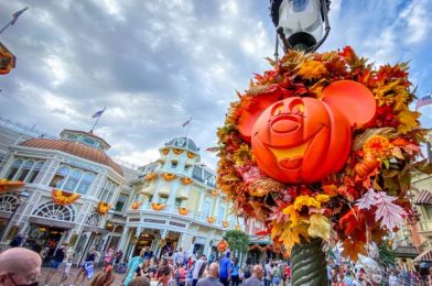 PHOTOS & VIDEOS! We’re LIVE from the BOO Bash Halloween Event in Disney World!