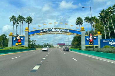 You May Be SHOCKED By Disney World’s Park Pass Availability Next Week