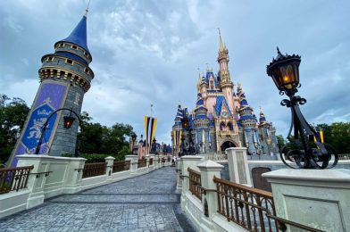 5 Weird Things That Will Get You Kicked Out of Disney World