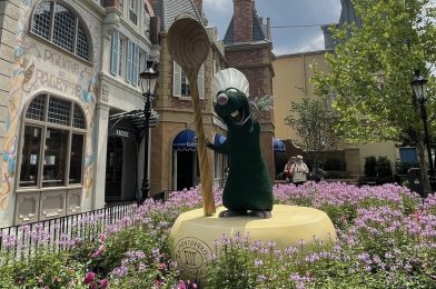 Remy Preview Planned For DVC Members