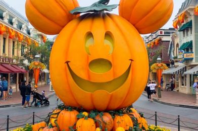What’s New At Disneyland Resort — HalloweenTime Arrives With Decorations, Snacks, and Souvenirs!