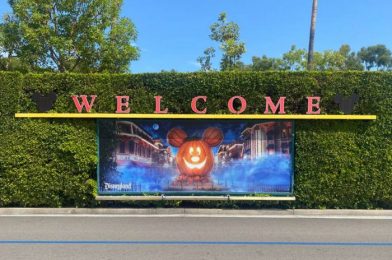 PHOTOS! The Fun Halloween Activity You Can Do At Disneyland WITHOUT A Park Ticket