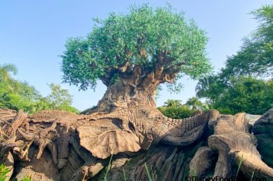What’s New in Animal Kingdom: Unusual Lunch Items and More Lightning Lanes