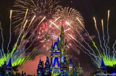 PHOTOS: First Look at the Return of Fireworks Dessert Cruises in Disney World!