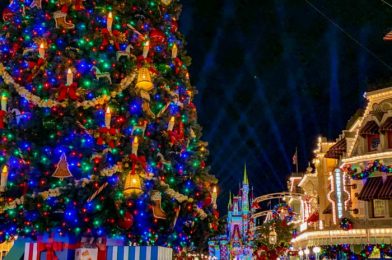 The 5 Best Things to Do in Disney World in November