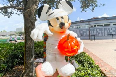 How Disney World Got 🎃 CHEATED 🎃 Out Of Halloween This Year
