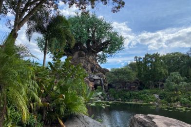 WEATHER UPDATE: Is Disney World ACTUALLY Cooling Down!?