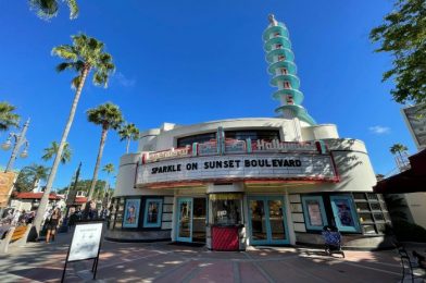 What’s New at Disney’s Hollywood Studios: 50th Anniversary Merchandise and a Disney Cruise Line Display