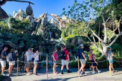 Another Option to Skip the Lines for FREE Is Still Available in Disney World