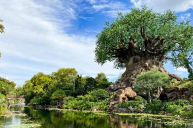 What’s New in Disney’s Animal Kingdom: NEW Ears and Another Lightning Lane Sign!