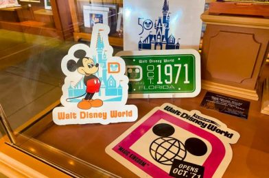 PHOTOS: Disney World’s New Limited Edition Item Is Taking Us WAY Back!