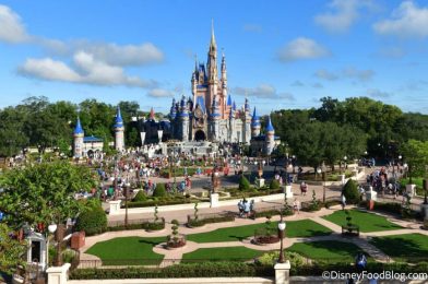 Wait Times Have Gone Up Significantly This Week in Disney World!