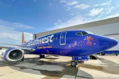 Why You Should Probably (STILL!) Check On Your Southwest Flight Right Now