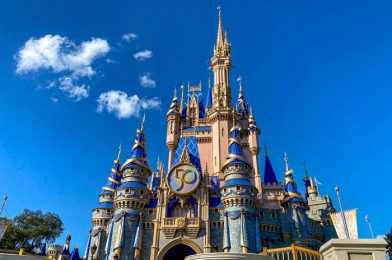 5 Unexpected Things That Happened in Disney World This Week