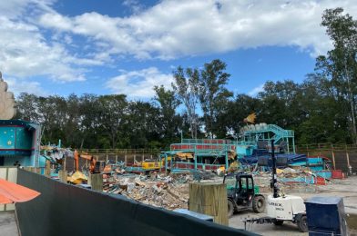 PHOTOS: Primeval Whirl Almost Completely Demolished at Disney’s Animal Kingdom