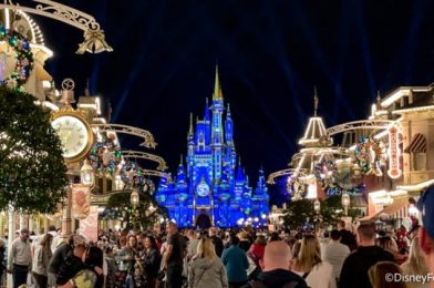 What’s New in Magic Kingdom: More Holiday Merch and the Return of Frozen Bananas