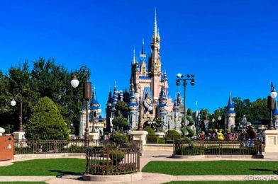 NEWS: Disney World Pauses Vaccine Requirement for Cast Members