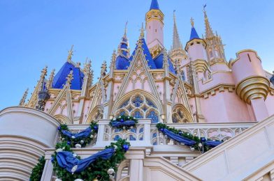 Why You’ll Want Want to AVOID Magic Kingdom on One Day in February in 2022