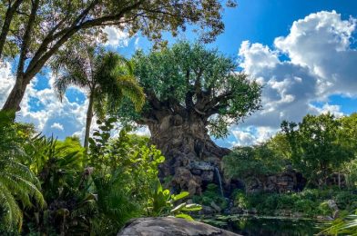 5 Hotel and Ticket Deals You DON’T Want to Miss in Disney World for November!