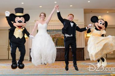 Okay, This Might Just Be the Most Gorgeous Disney Wedding Dress We’ve EVER SEEN