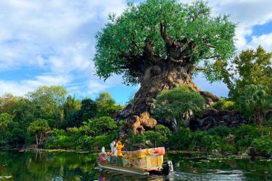 What’s New in Disney’s Animal Kingdom: FANCY Ears and a Suspicious Photo Op 👀