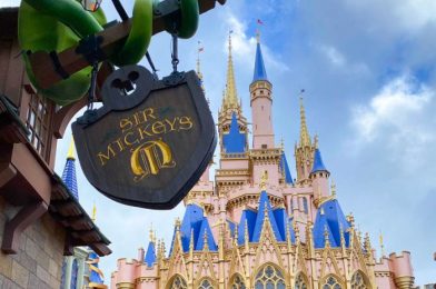 8 NEW Things We Found Out in Disney World in December