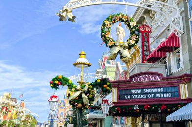 See HOW BUSY Disney World Will Be the Week of Christmas!