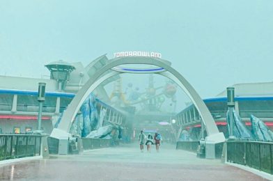 PHOTOS: Disney World Was Having Some Eerie Weather This Morning!