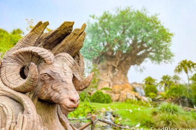 What’s New in Animal Kingdom: A TERRIFYING Pin, Stunning Photo Op, and MORE!