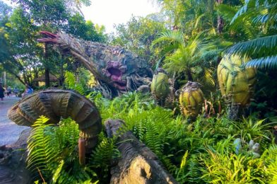 Everything You’re Doing WRONG at Disney’s Animal Kingdom