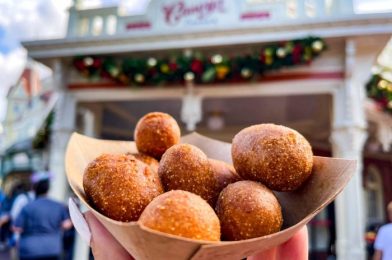 PHOTOS: The Unexpected Place to Find Corn Dog Nuggets in Disney World