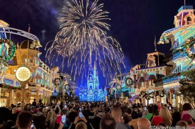 NEWS: New Year’s Eve Fireworks Announced for Disney World
