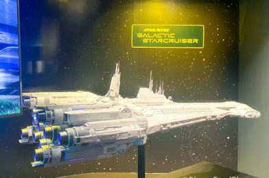 Meet One of the NEW Characters Featured in Disney World’s Galactic Starcruiser Hotel
