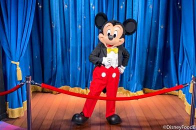 NEWS: The Character Dining Photo Policy Has CHANGED in Disney World
