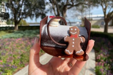 REVIEW: Chocolate Peppermint Yule Log is Delicious and Decadent at Disney’s Contemporary Resort