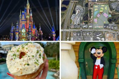 Small Fire Occurs in Magic Kingdom Park, Permits Filed for Waterstar Orlando Residential & Retail Project, and More: Daily Recap (12/14/21)