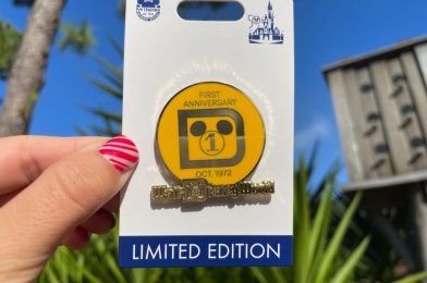 PHOTOS: New Limited Edition First Anniversary Vault Collection Pin Available at Magic Kingdom
