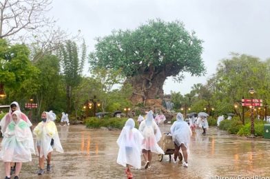 The Most EXTREME Weather Ever Seen at Disney World