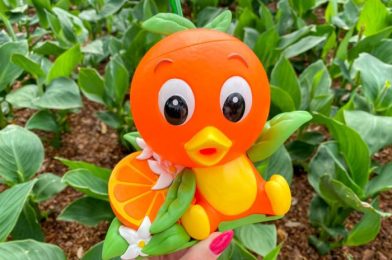 FIRST LOOK at the Orange Bird Spirit Jersey Coming to EPCOT’s Flower and Garden Festival!