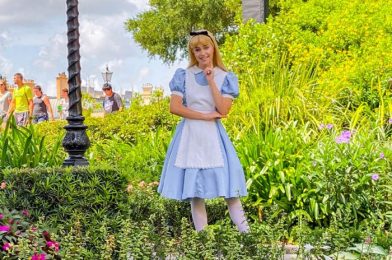 PHOTOS: New ‘Alice in Wonderland’ Dooney & Bourke Bags Coming to Disney World
