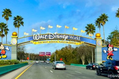 BREAKING: A Fatal Crash Took Place On the Road to Disney World Today
