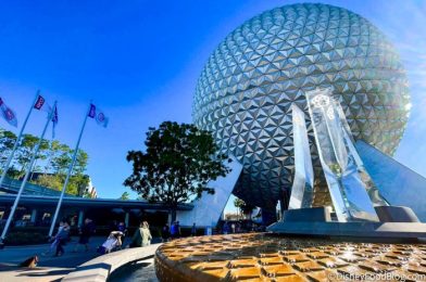 DFB Video: 45 NEW Tips for Disney World in 2022