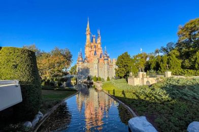 Could the First Week of February Bring WARMER Weather to Disney World?