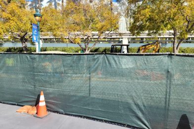 PHOTOS: Renovation Work Continues at Downtown Disney District Parking Tram Station