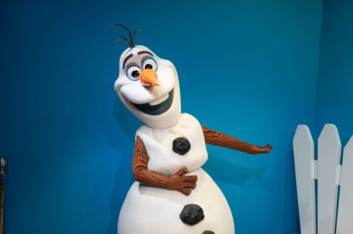 PHOTOS, VIDEO: For the First Time in Forever, Olaf Returns to Celebrity Spotlight at Disney’s Hollywood Studios