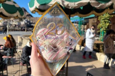 REVIEW: 20th Anniversary Strawberry Donut is a Sweet, Chewy Treat from Mamma Biscotti’s Bakery at Tokyo DisneySea