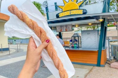 Didn’t Think Disney World Churros Could Get Any Better? Think Again!