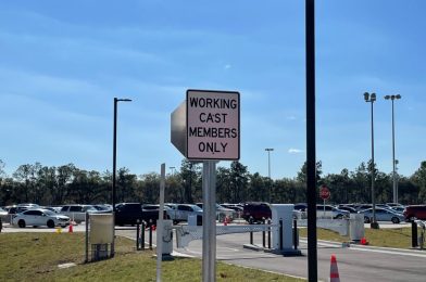 PHOTOS: Transportation and Ticket Center Cast Entrance Seemingly Completed at Walt Disney World
